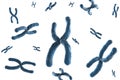 Blue chromosome