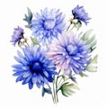 Blue Chrysanthemums Watercolor Clipart With Electric Blue Hues