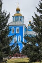 Blue church with golden domes on a square among fir trees.