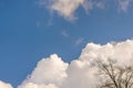 blue clear sky with clouds and tree branches Royalty Free Stock Photo