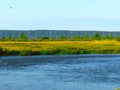 Blue clear water and river banks covered with dried yellow grass. Welcome first autumn days mood. Rivulet banks landscape. Royalty Free Stock Photo