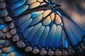 Blue Clipper Butterfly Wing - closeup butterfly wing blue. iridescent, background wallpaper texture Royalty Free Stock Photo