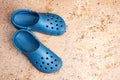 Blue Clogs with room for copy Royalty Free Stock Photo