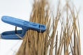 blue clothespins and broom sticks Royalty Free Stock Photo