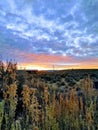 Blue cloud sunrise over Christmas Valley Oregon