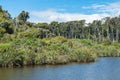 Blue cloudy sky, green juicy jungle and flat blue water near Ship Creek