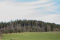 Blue cloudy sky over meadow and green forest long panoramic view Royalty Free Stock Photo