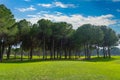 Blue cloudy sky over a row of pine trees in the background and smooth green grass of the green of a golf course in Belek Royalty Free Stock Photo