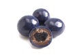 Blue Coated Chocolate Covered Dried Blueberry Isolated on a White Background