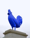 The Blue Cockerel Royalty Free Stock Photo