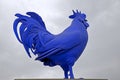 The Blue Cockerel Royalty Free Stock Photo