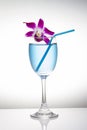 Blue cocktail in wine glass and orchid flower on white background Royalty Free Stock Photo