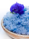 Blue cooked rice by color of butterfly pea flower