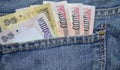 Blue color Denim Pocket with Indian Money