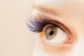 Blue color eyelash extensions. Trendy false lash style close-up, eye macro Royalty Free Stock Photo
