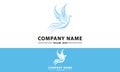 Blue Color Phoenix Bird with Spread Wing Logo Design