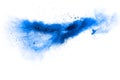 Blue color powder explosion cloud on white background.Blue dust particles splash on background