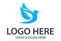 Blue Color Simple Bird Spread Wing Logo Design