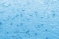 blue color tone of close up rain water drop falling Royalty Free Stock Photo