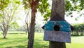 A blue color wooden Squirrel`s house dwelling, hanging on the tree in the public park, green lawn on background