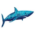 Blue Colored Polygonal Shark Illustration. Sea Predator Danger Creature. Royalty Free Stock Photo