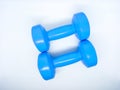 Blue colour 1kg Gym Dumble for fitness on white background