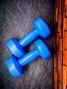 Blue colour 1kg Gym Dumble for fitness on white background