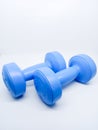 Blue colour 1kg Gym Dumble for fitness on white background