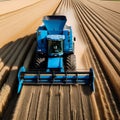 Blue combine harvester agriculture machine harvesting in a field