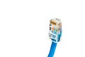 Blue computer ethernet cable isolated on white background, close-up Royalty Free Stock Photo