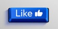 Blue computer Like key on white background. Royalty Free Stock Photo