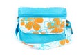 Blue cooler bag