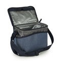 Blue cooler bag Royalty Free Stock Photo