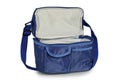 Blue cooler bag Royalty Free Stock Photo