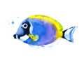 Blue Coral Reef Fish Watercolor Illustration Hand Drawn