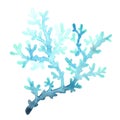 Blue coral watercolor illustration for decoration on marine life.