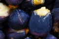 Blue corn macro Royalty Free Stock Photo