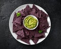 Blue corn Organic tortilla chips with Guacamole Royalty Free Stock Photo