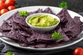 Blue corn Organic tortilla chips with Guacamole Royalty Free Stock Photo