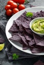 Blue corn Organic tortilla chips with Guacamole Royalty Free Stock Photo