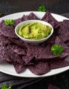 Blue corn Organic tortilla chips with Guacamole Royalty Free Stock Photo