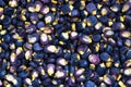 Blue corn posole Royalty Free Stock Photo