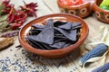 Blue corn tortilla chips Royalty Free Stock Photo