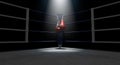 Boxing Corner And Boxing Gloves