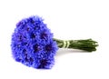 Blue cornflower bouquet isolated on white background Royalty Free Stock Photo