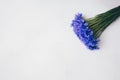 Blue cornflowers bouquet, summer flowers on white background, floral background, beautiful small cornflowers close up Royalty Free Stock Photo