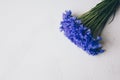 Blue cornflowers bouquet, summer flowers on white background, floral background, beautiful small cornflowers close up Royalty Free Stock Photo