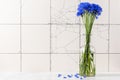 Blue cornflowers bouquet in vase on white rustic tile background. still life