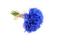 Blue cornflowers bunch isolated on white background Royalty Free Stock Photo