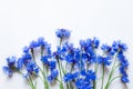 Blue cornflowers over white